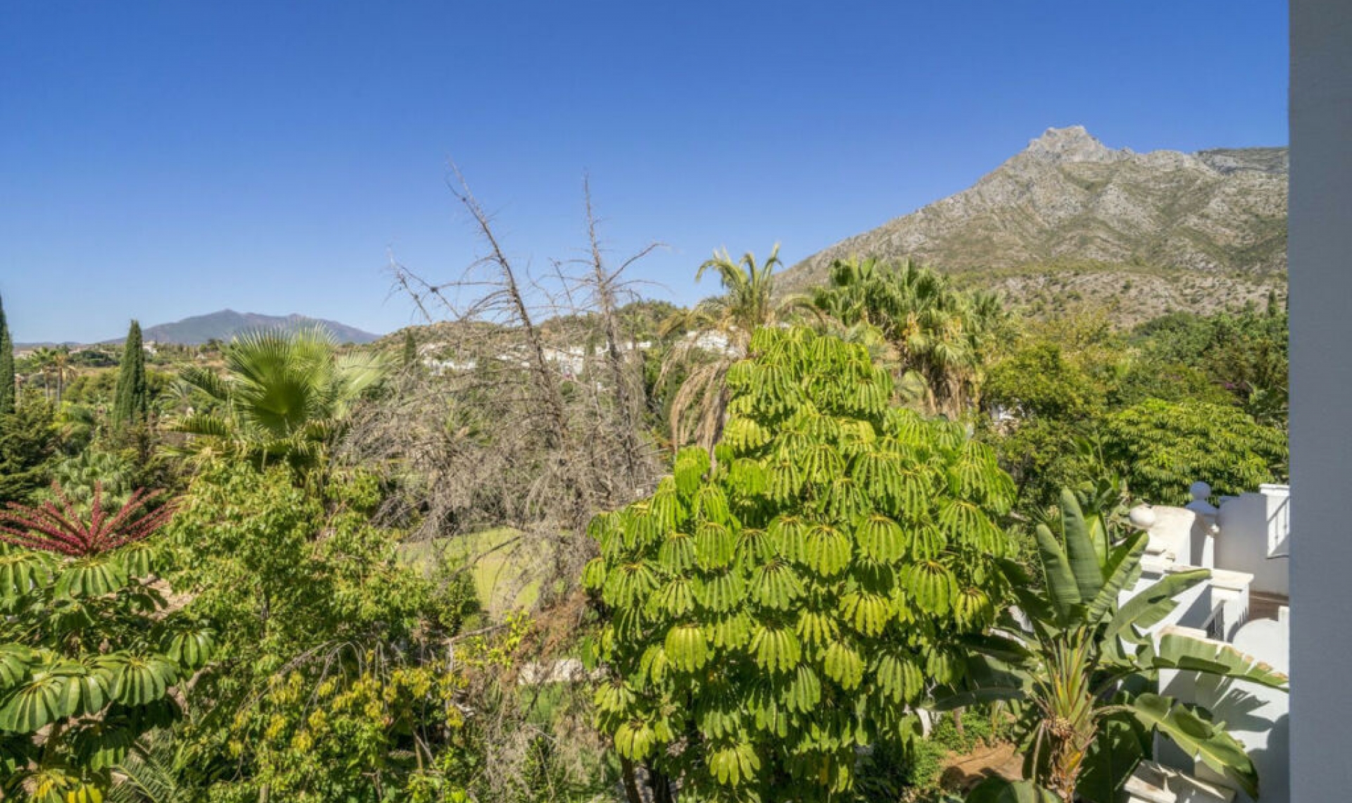 Resale - Apartment -
Marbella