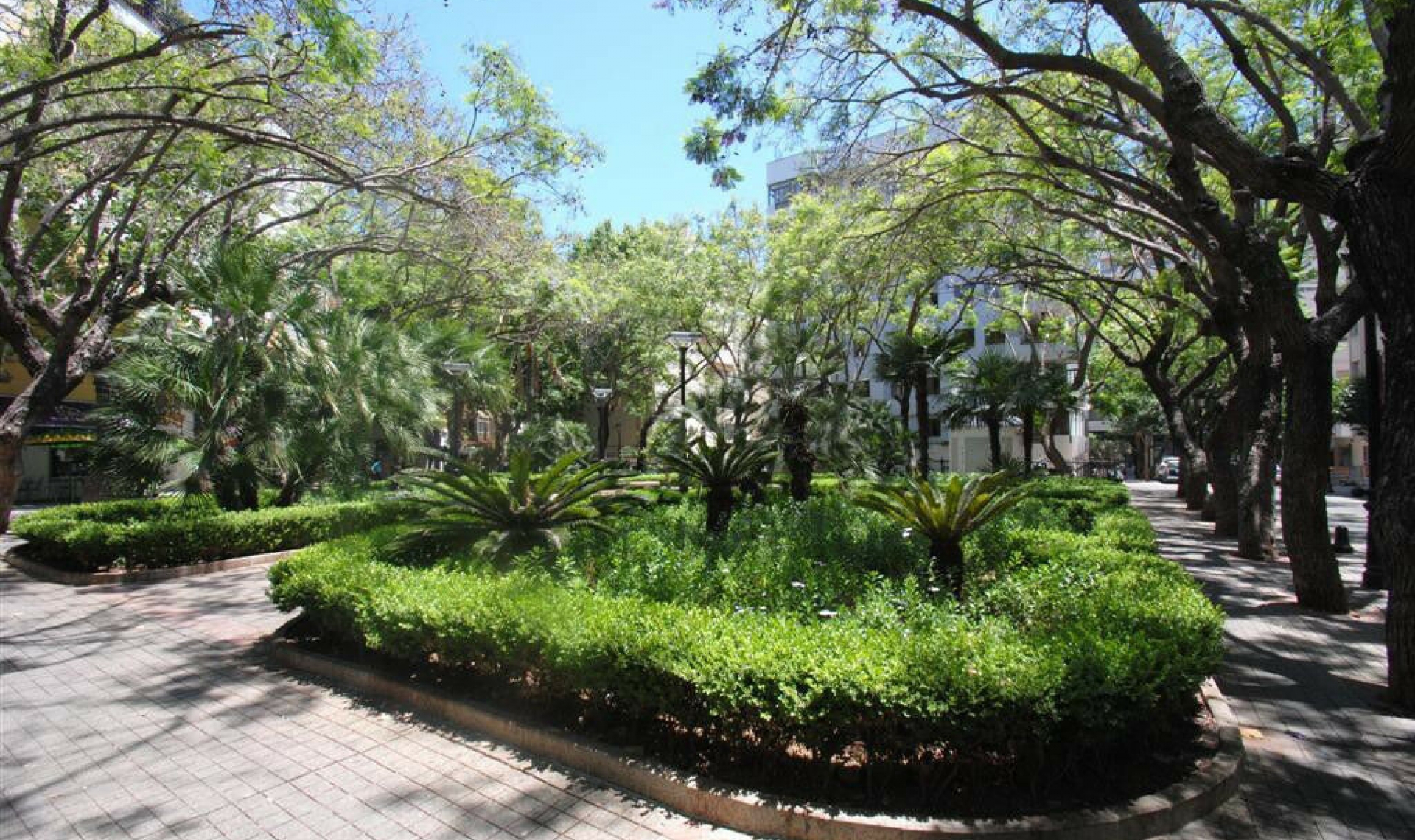 Resale - Apartment -
Marbella