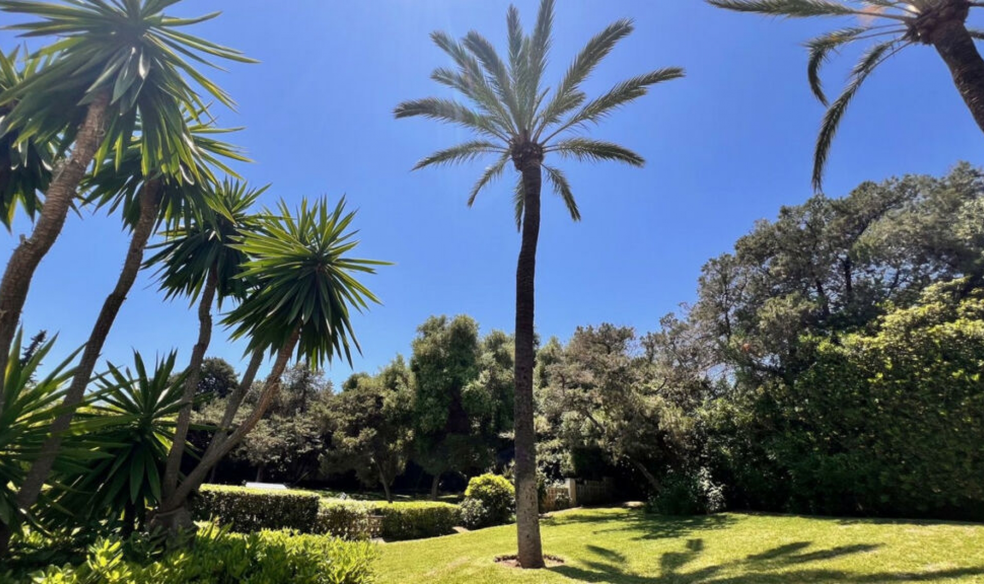 Resale - Apartment -
Marbesa