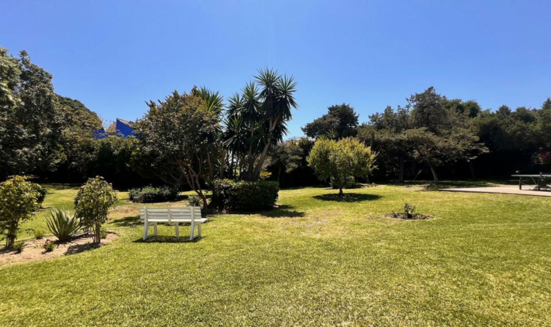 Resale - Apartment -
Marbesa