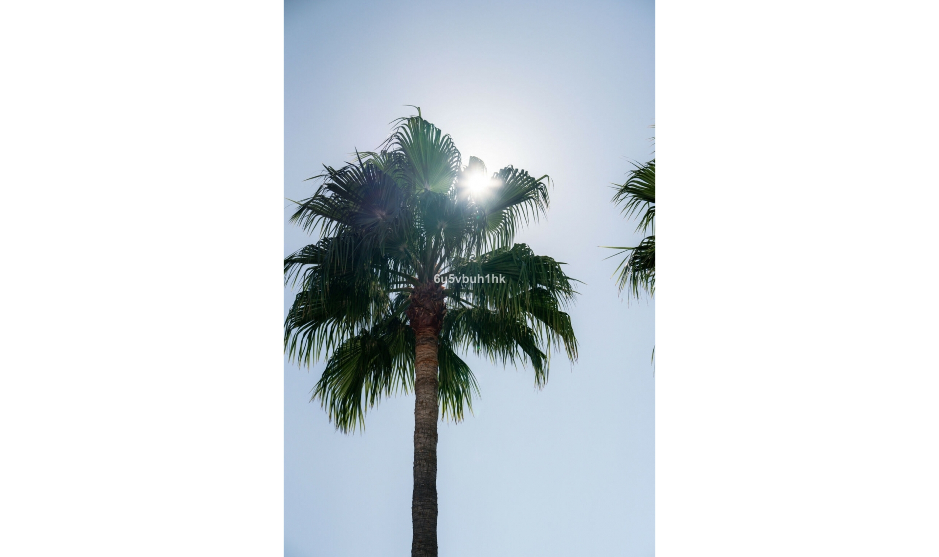 Resale - Apartment -
Mijas Costa