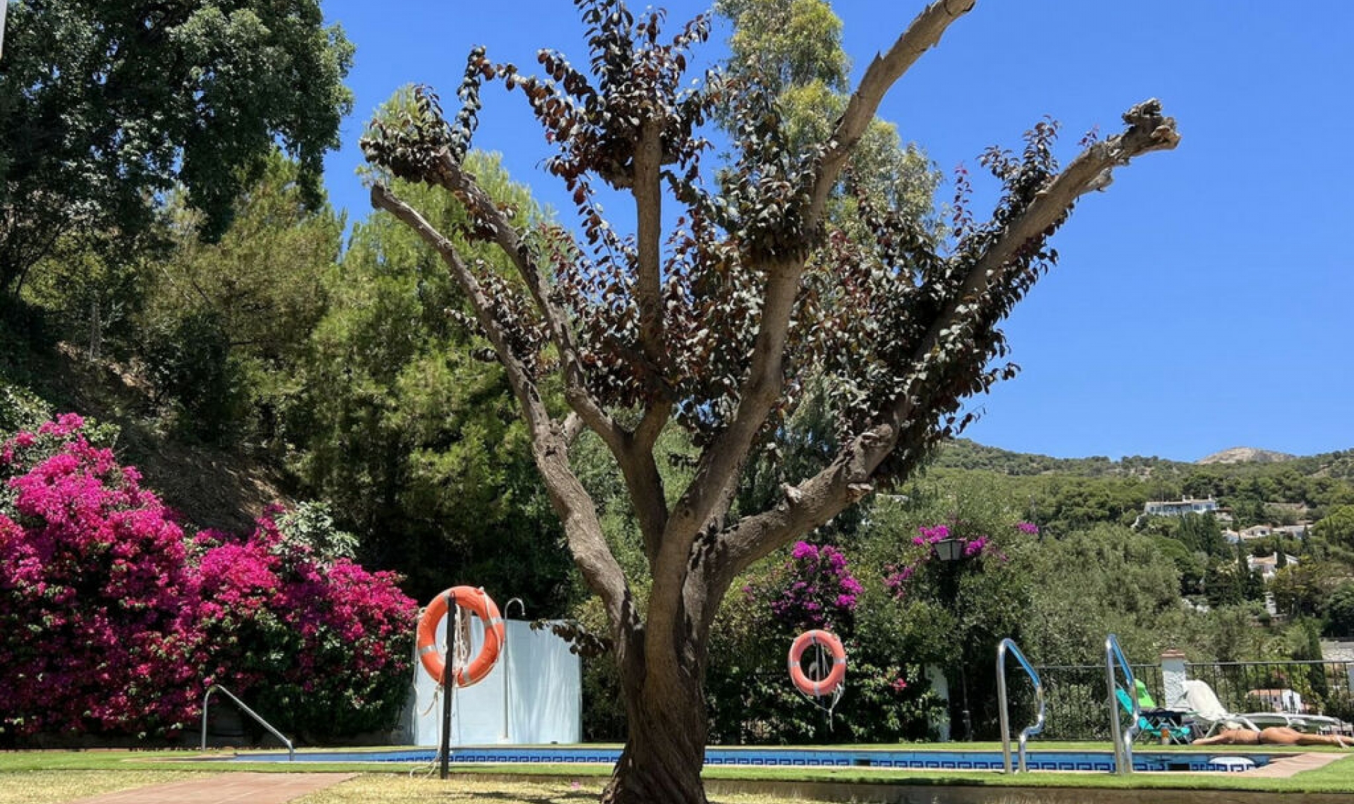 Resale - Apartment -
Mijas