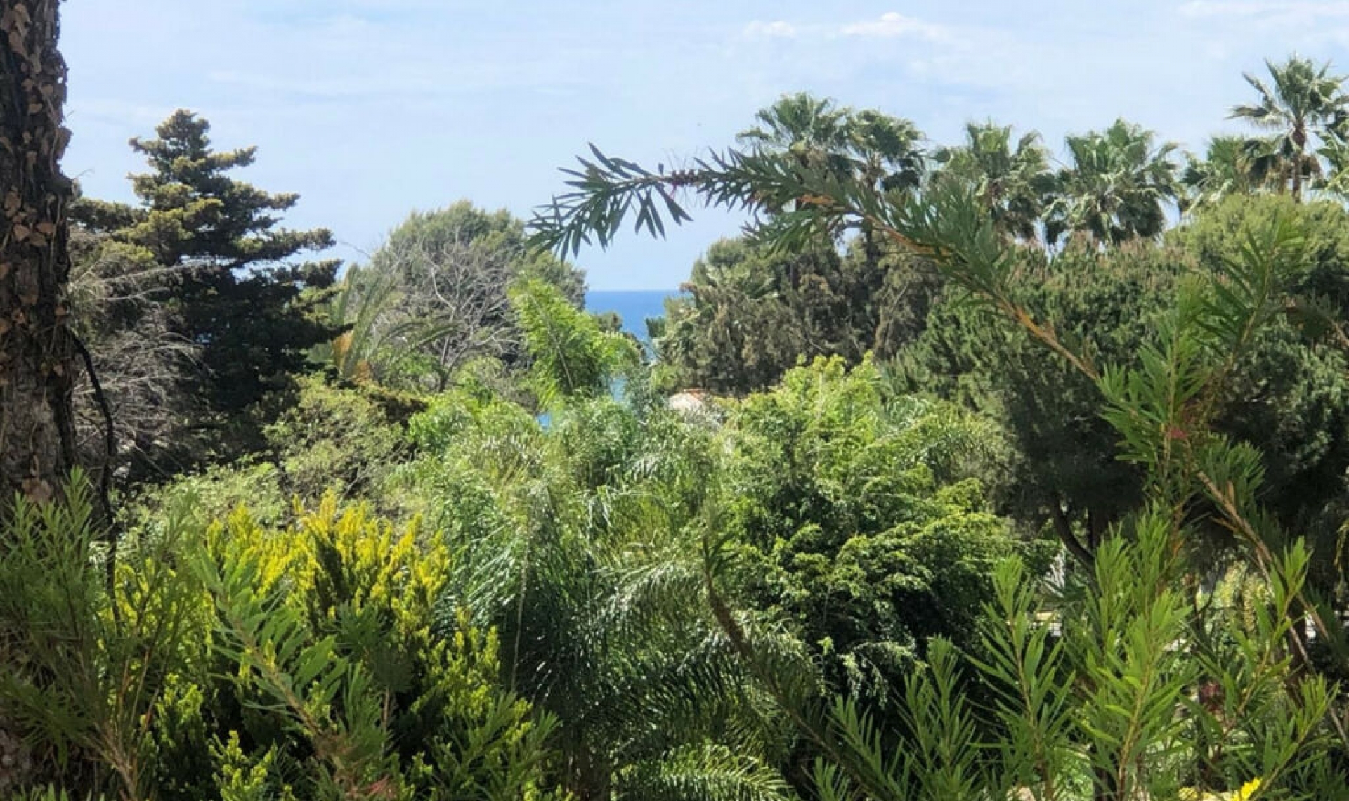 Resale - Apartment -
Miraflores