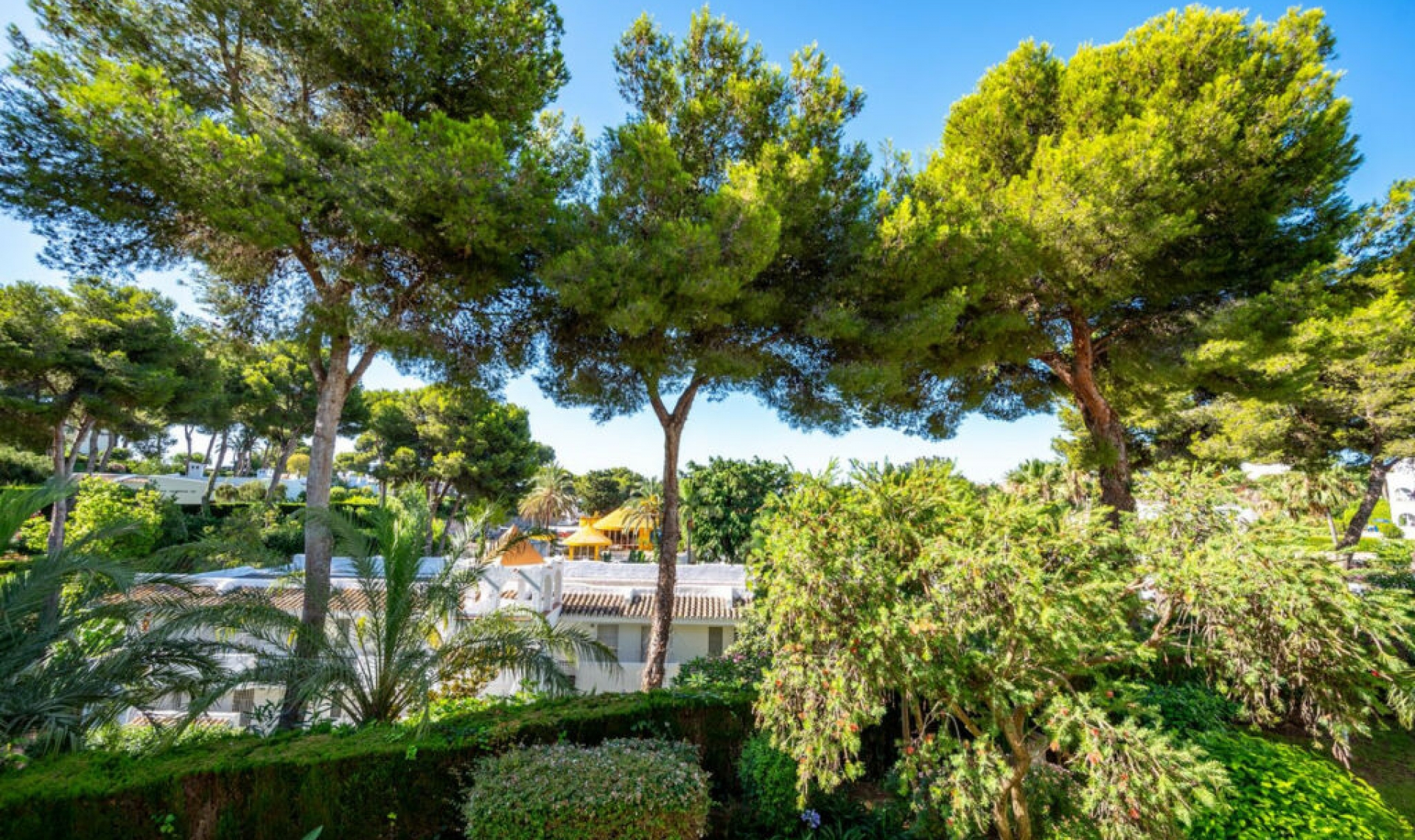 Resale - Apartment -
Miraflores