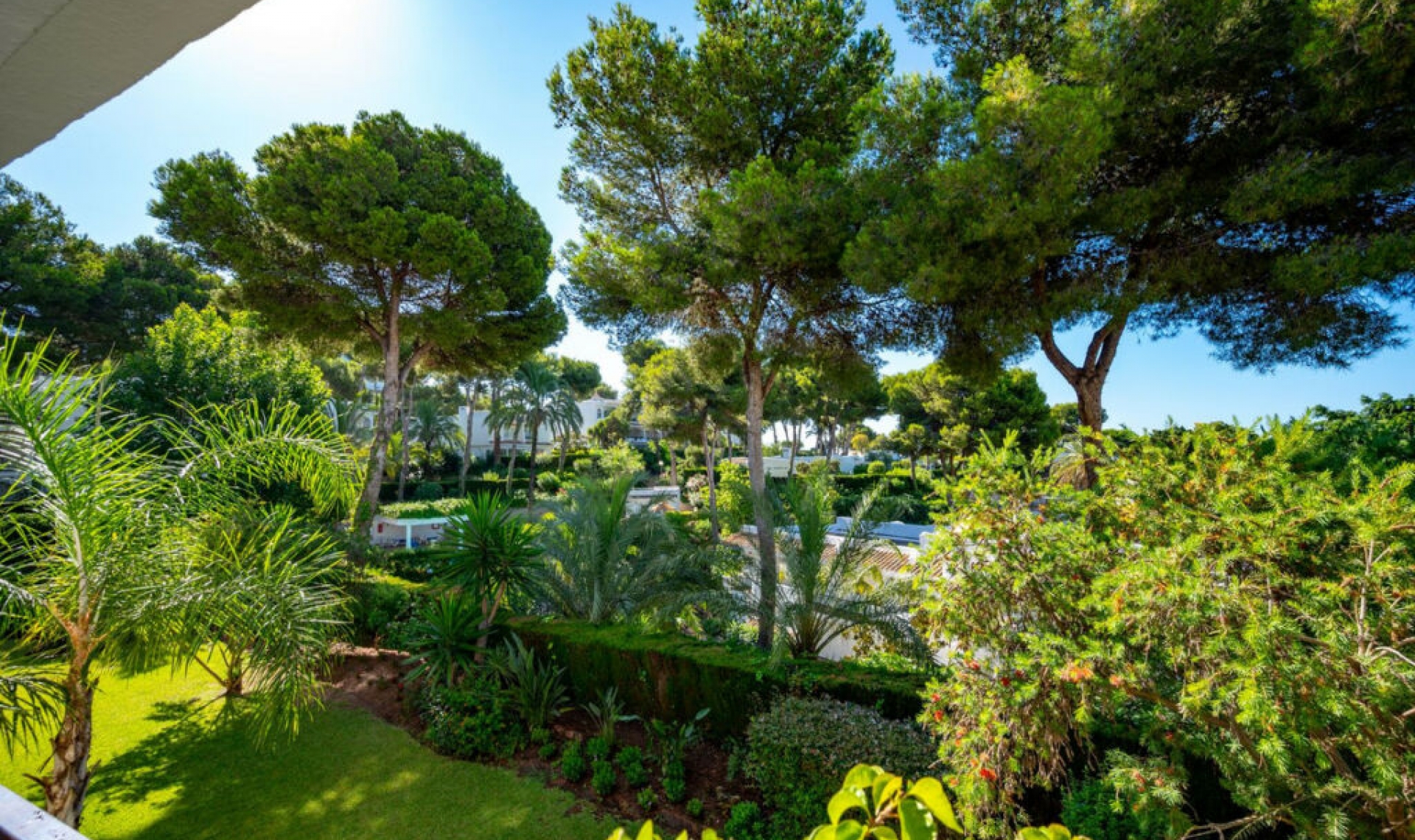 Resale - Apartment -
Miraflores