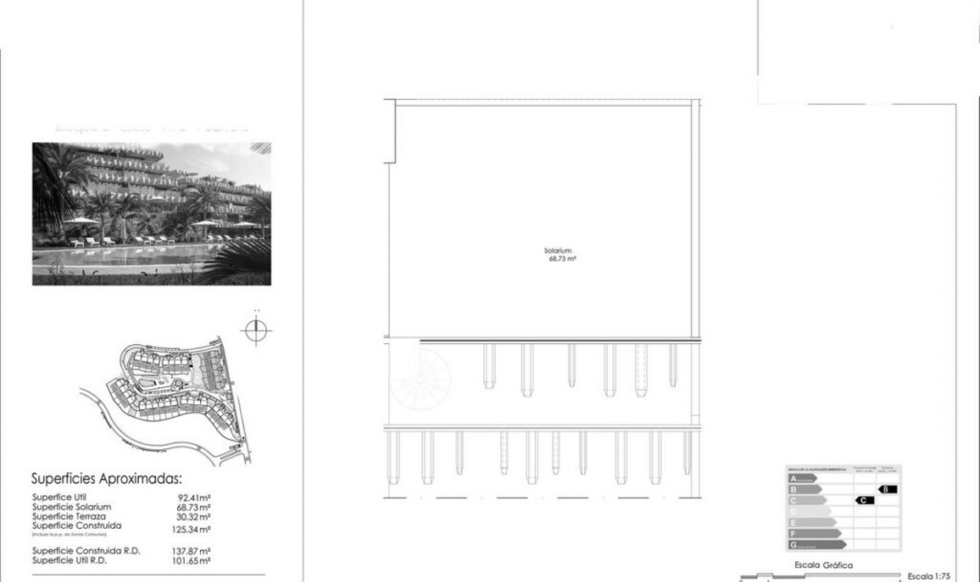 Resale - Apartment -
New Golden Mile