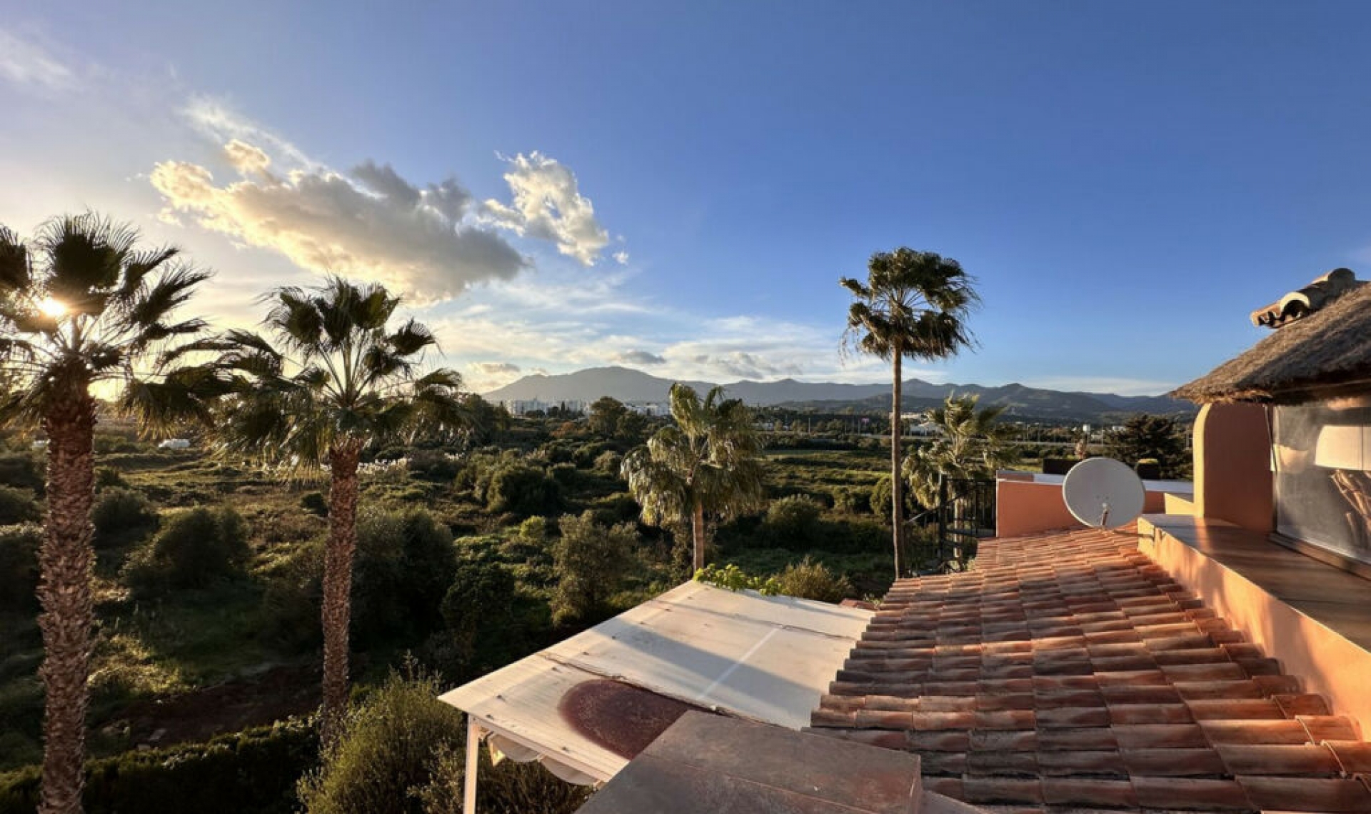 Resale - Apartment -
New Golden Mile