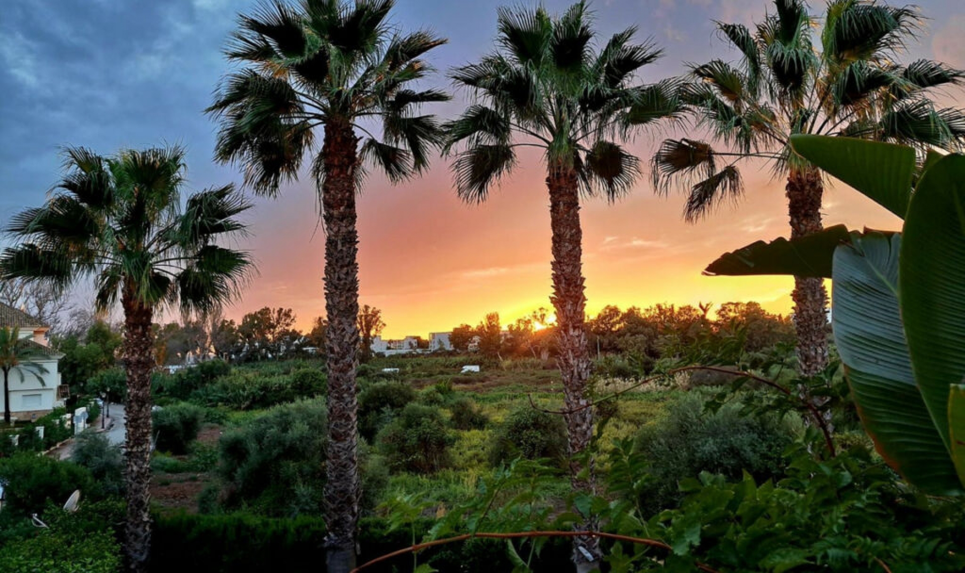 Resale - Apartment -
New Golden Mile