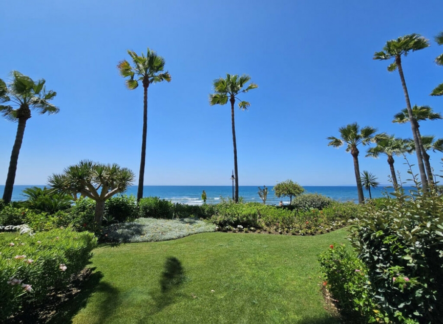 Resale - Apartment -
New Golden Mile
