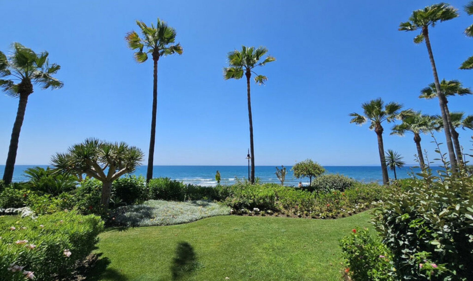Resale - Apartment -
New Golden Mile