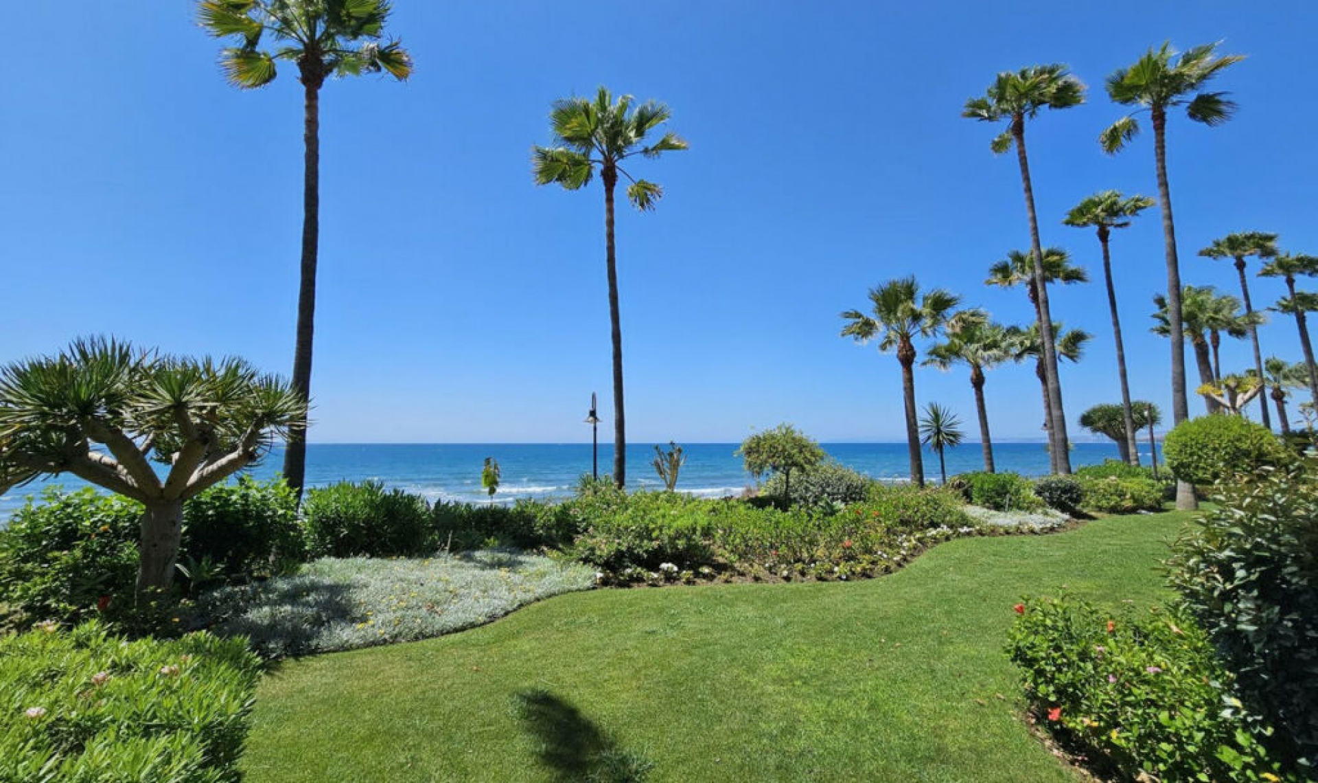 Resale - Apartment -
New Golden Mile