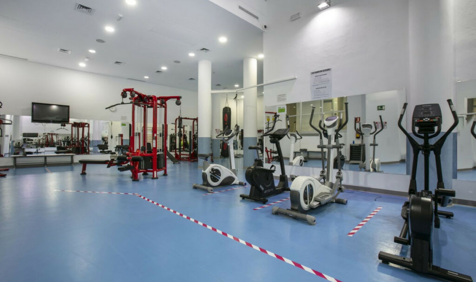 Resale - Apartment -
New Golden Mile