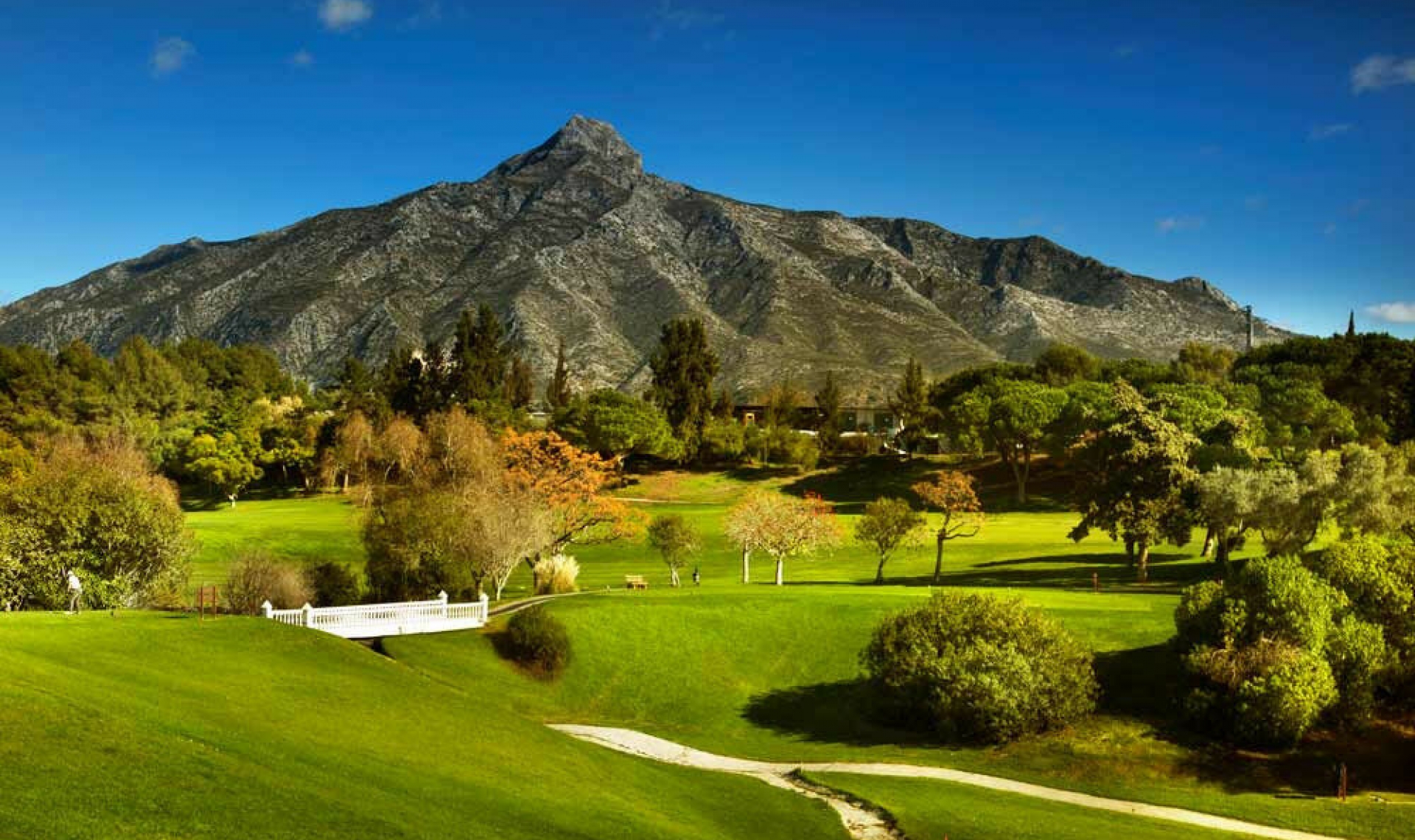 Resale - Apartment -
Nueva Andalucía