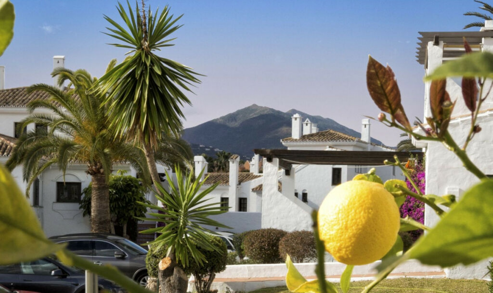 Resale - Apartment -
Nueva Andalucía