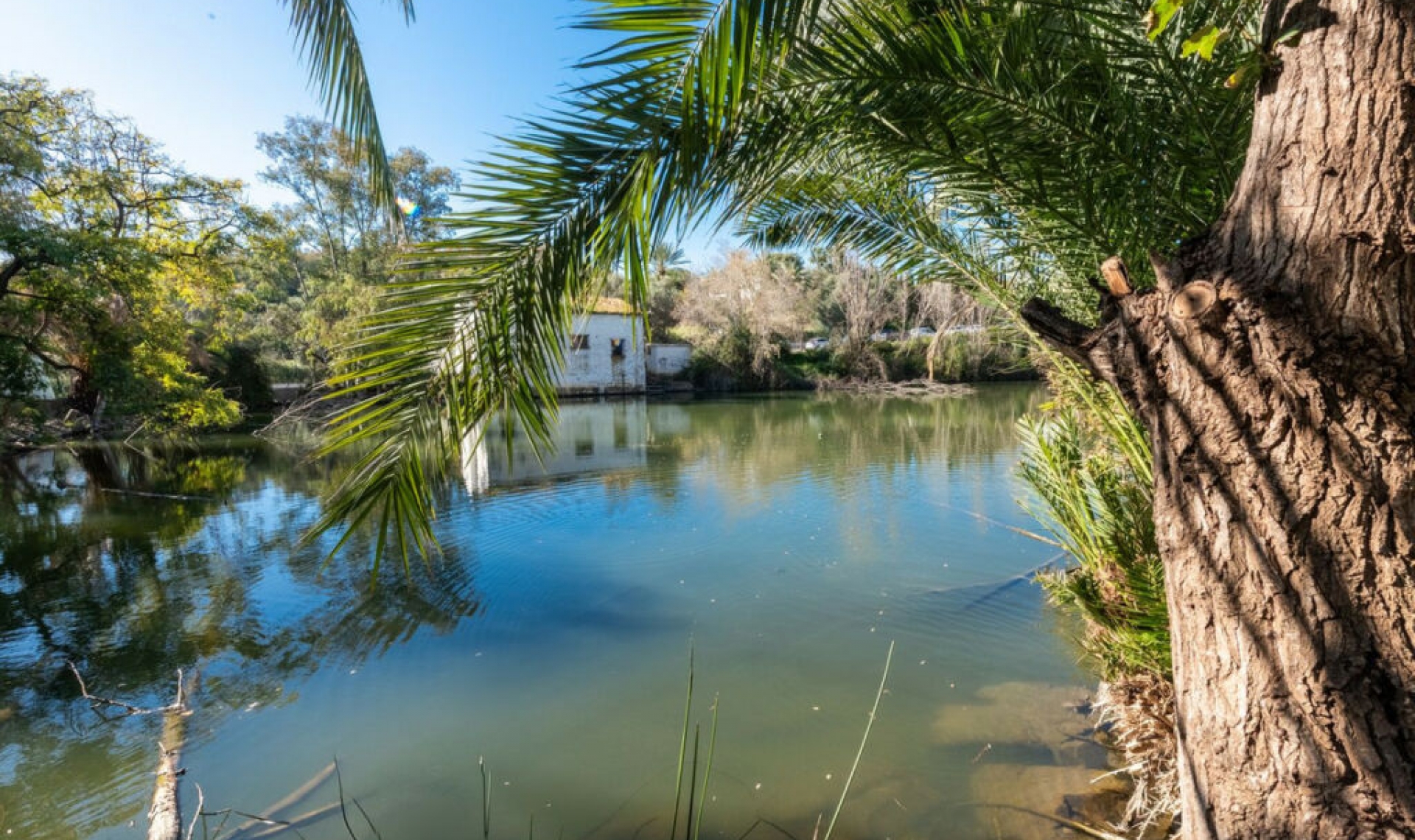 Resale - Apartment -
Nueva Andalucía