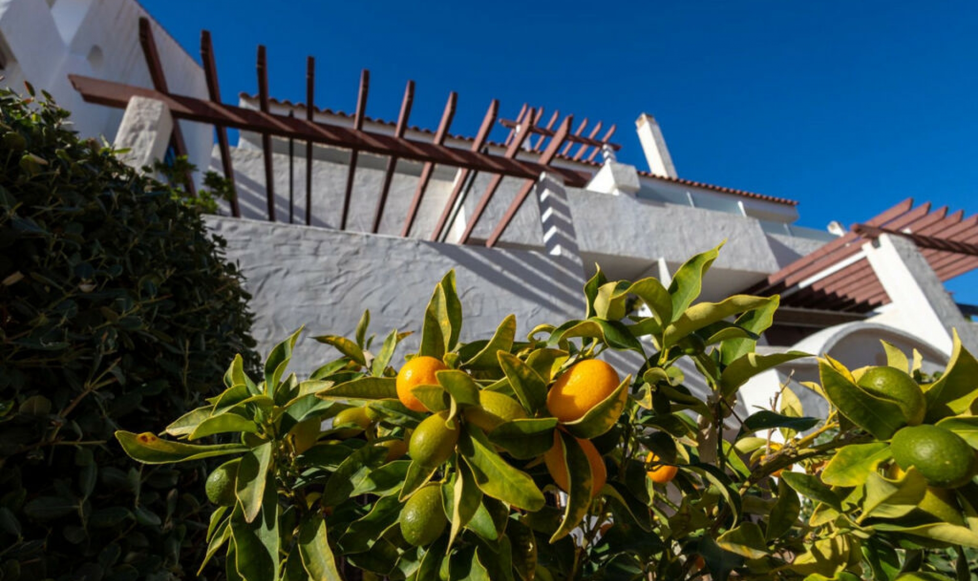 Resale - Apartment -
Nueva Andalucía