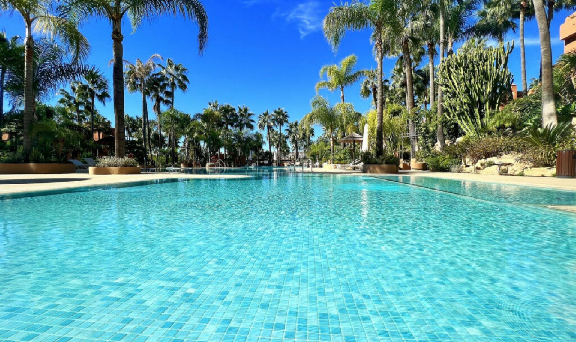 Resale - Apartment -
Nueva Andalucía