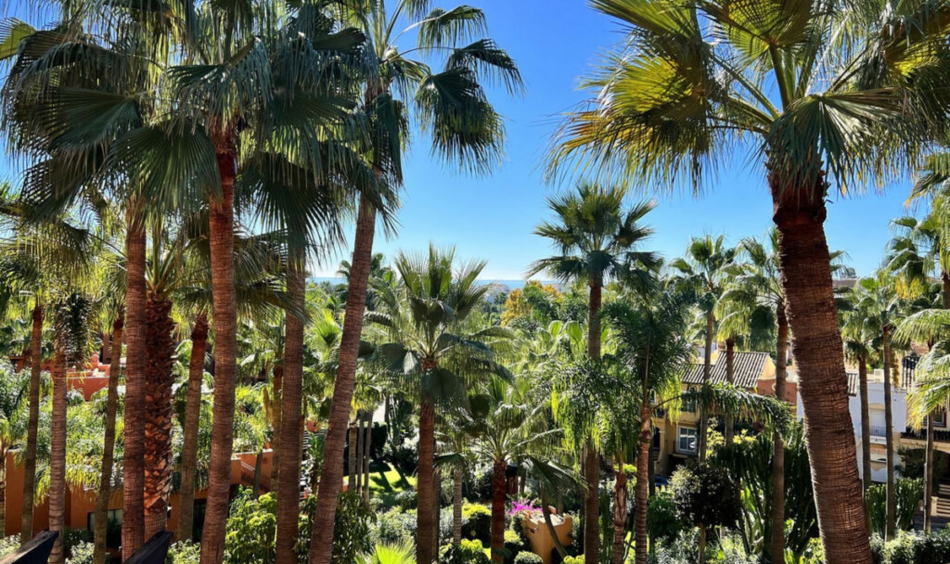 Resale - Apartment -
Nueva Andalucía