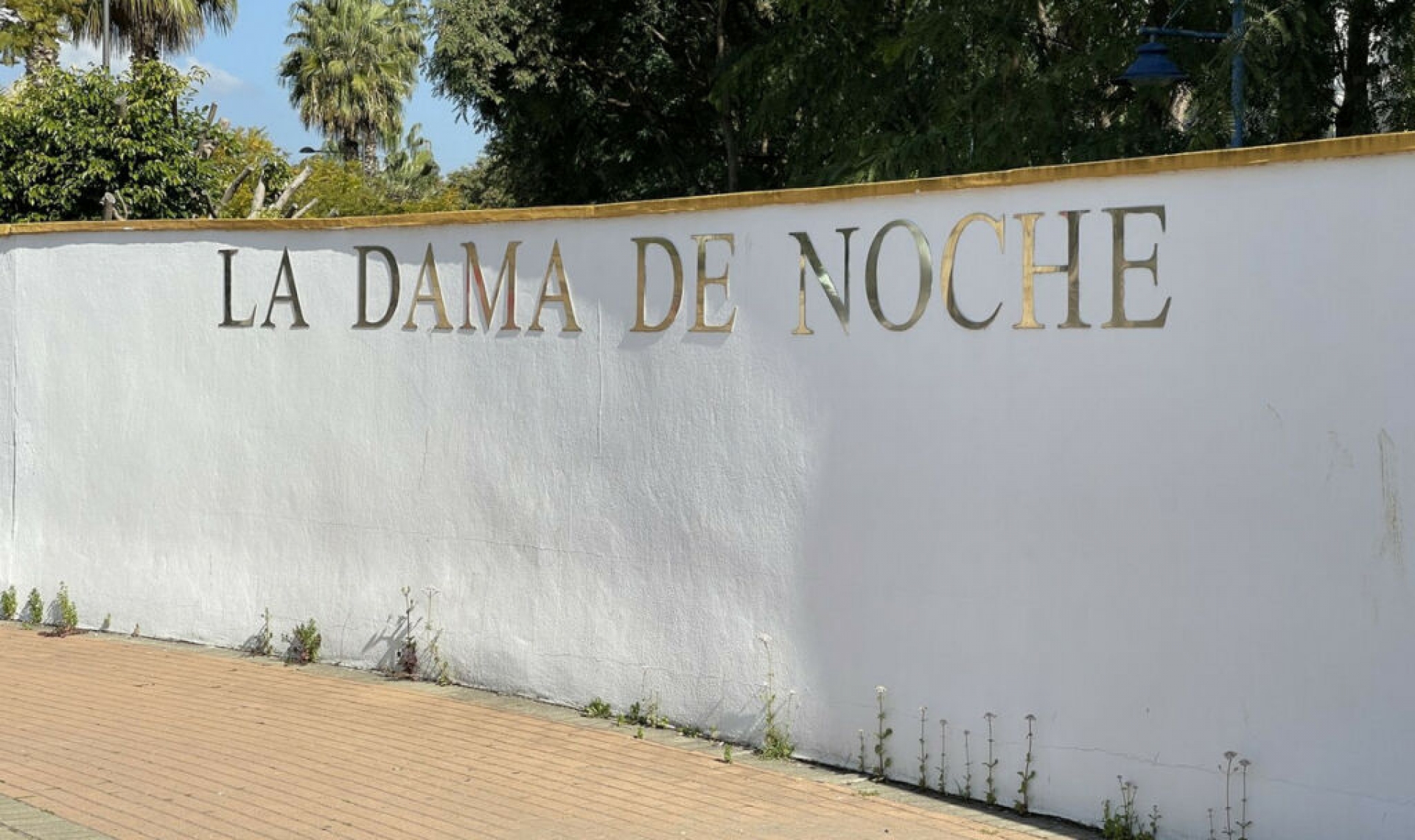Resale - Apartment -
Nueva Andalucía
