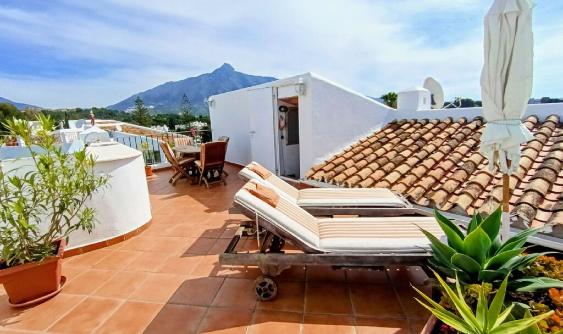 Resale - Apartment -
Nueva Andalucía