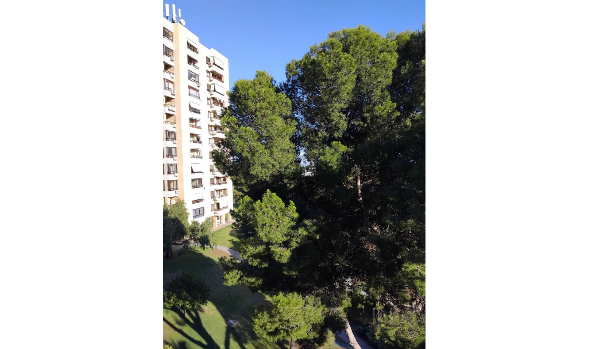 Resale - Apartment -
Nueva Andalucía