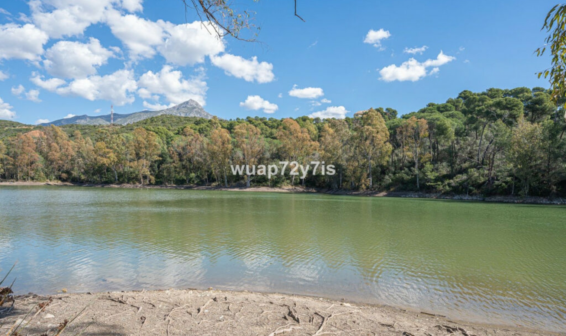 Resale - Apartment -
Nueva Andalucía