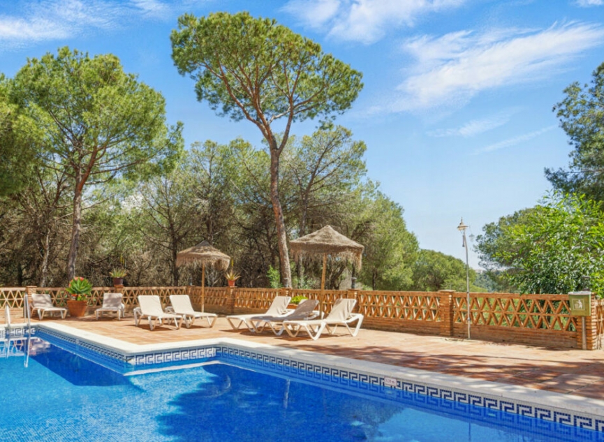 Resale - Apartment -
Nueva Andalucía