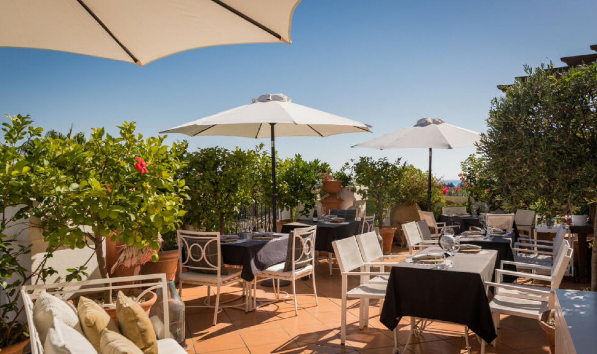 Resale - Apartment -
Nueva Andalucía