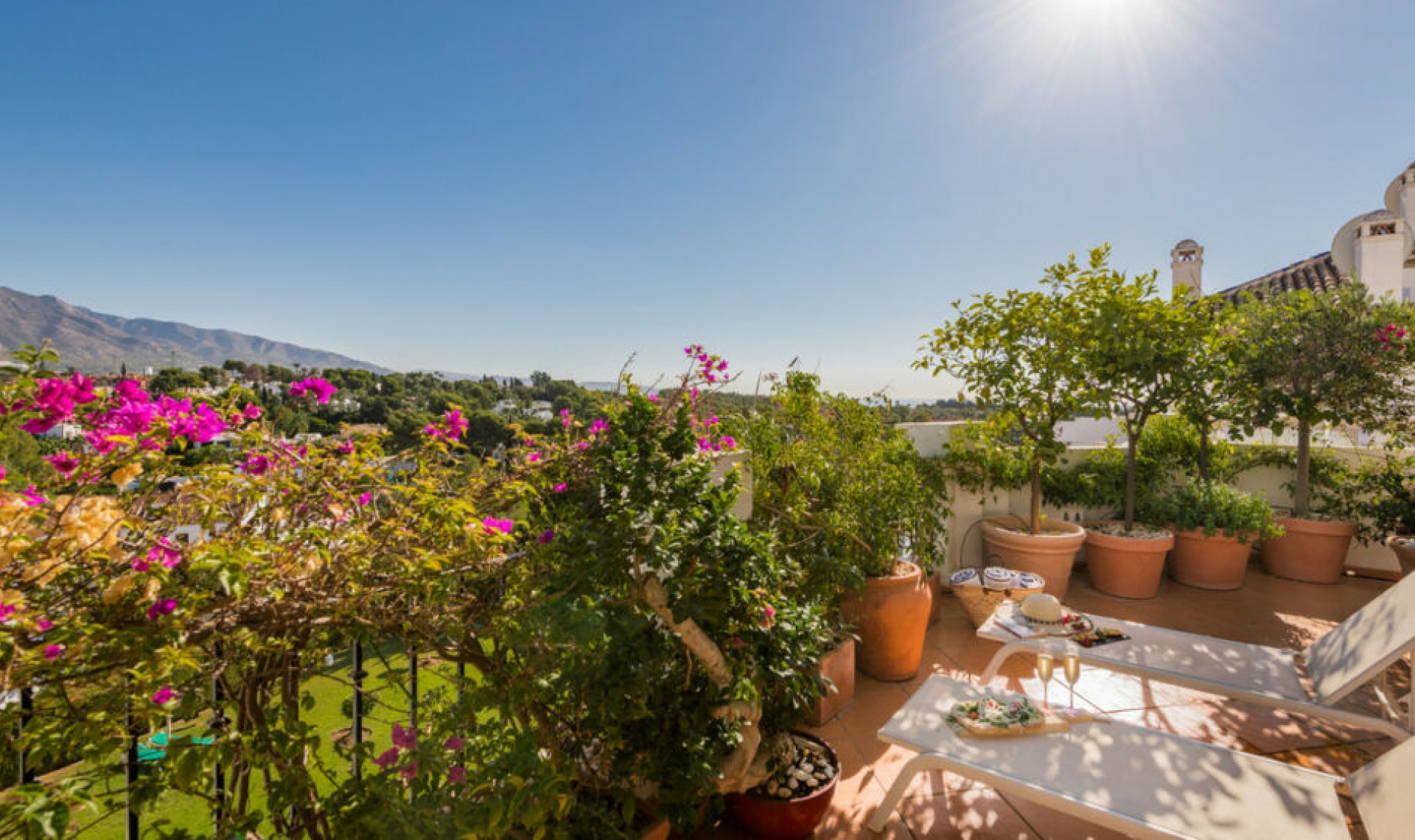 Resale - Apartment -
Nueva Andalucía