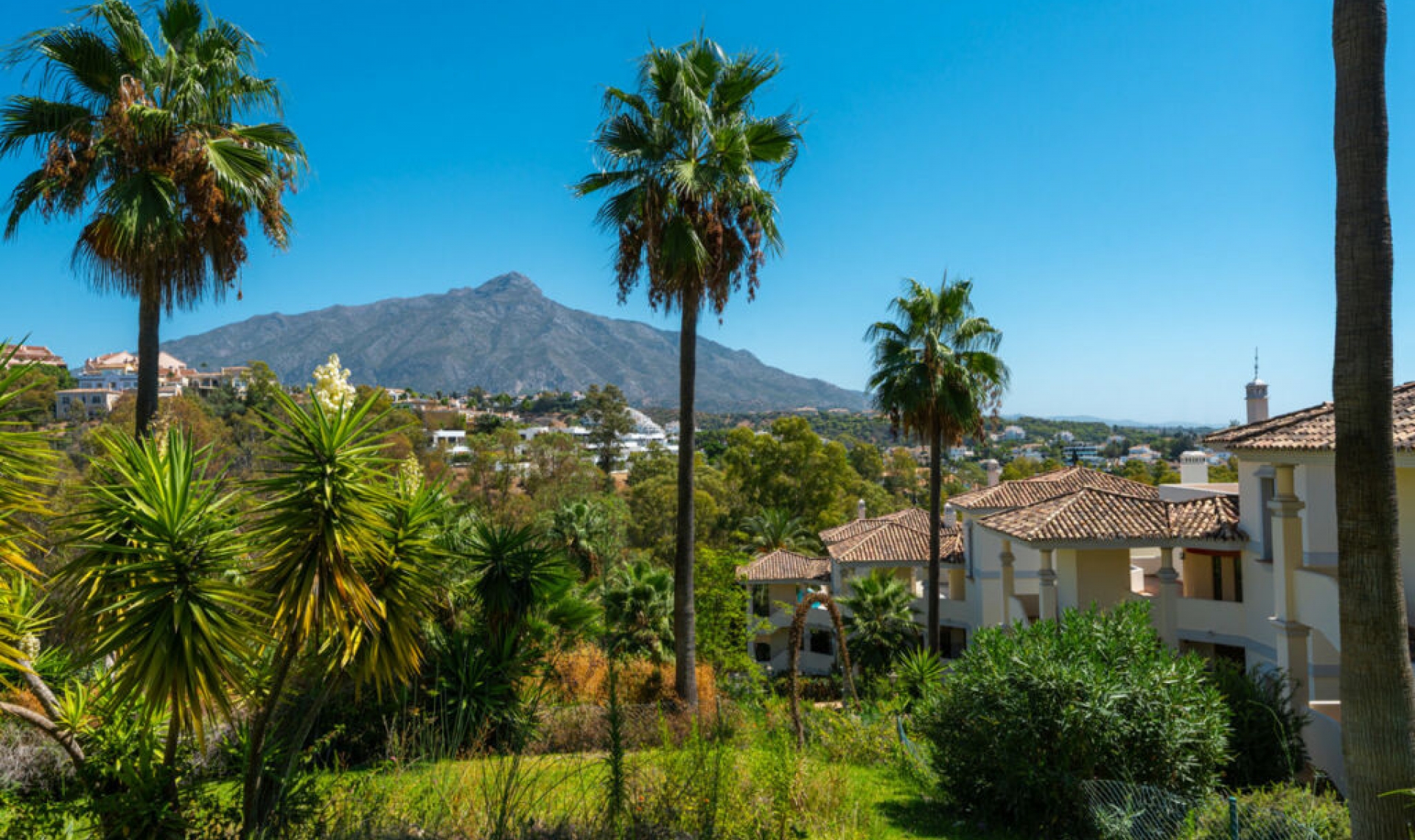 Resale - Apartment -
Nueva Andalucía