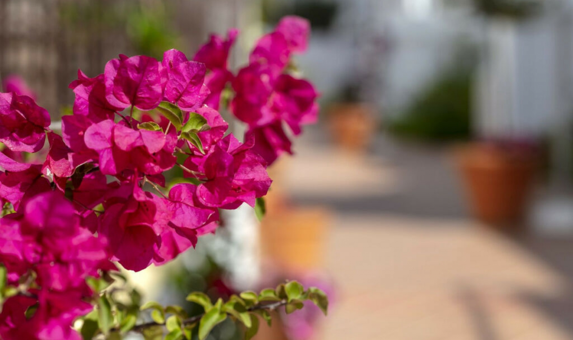 Resale - Apartment -
Nueva Andalucía