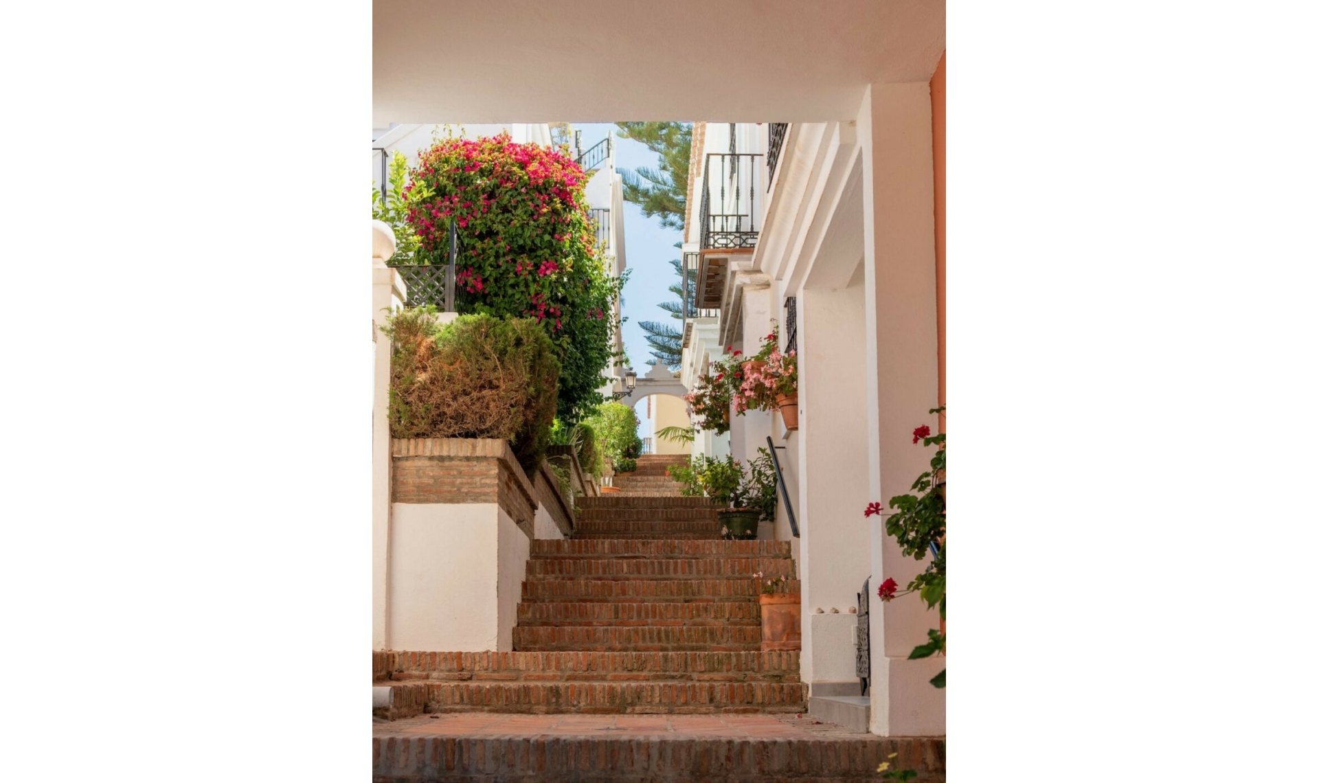 Resale - Apartment -
Nueva Andalucía