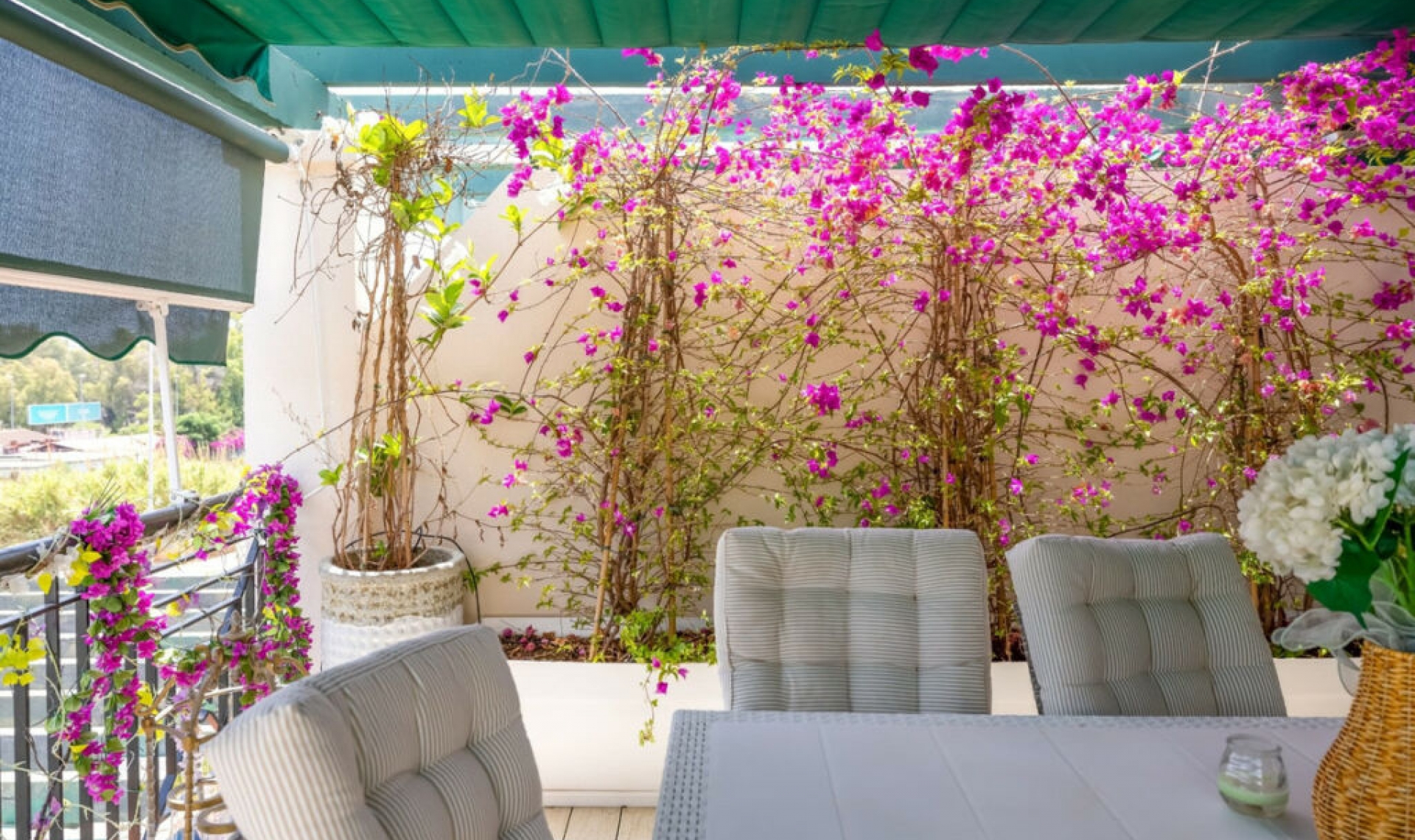 Resale - Apartment -
Nueva Andalucía