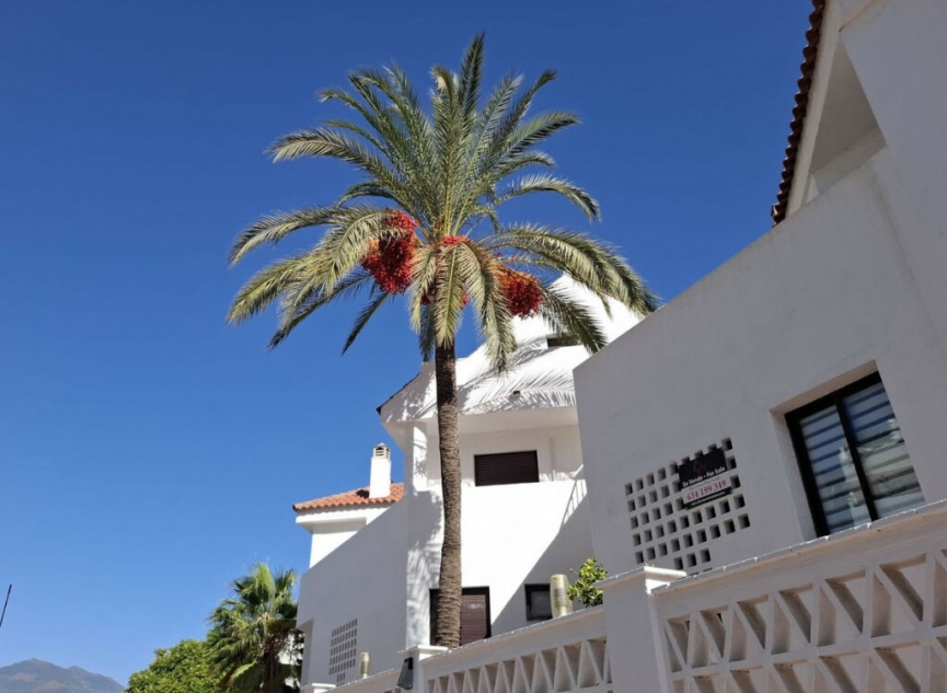 Resale - Apartment -
Nueva Andalucía