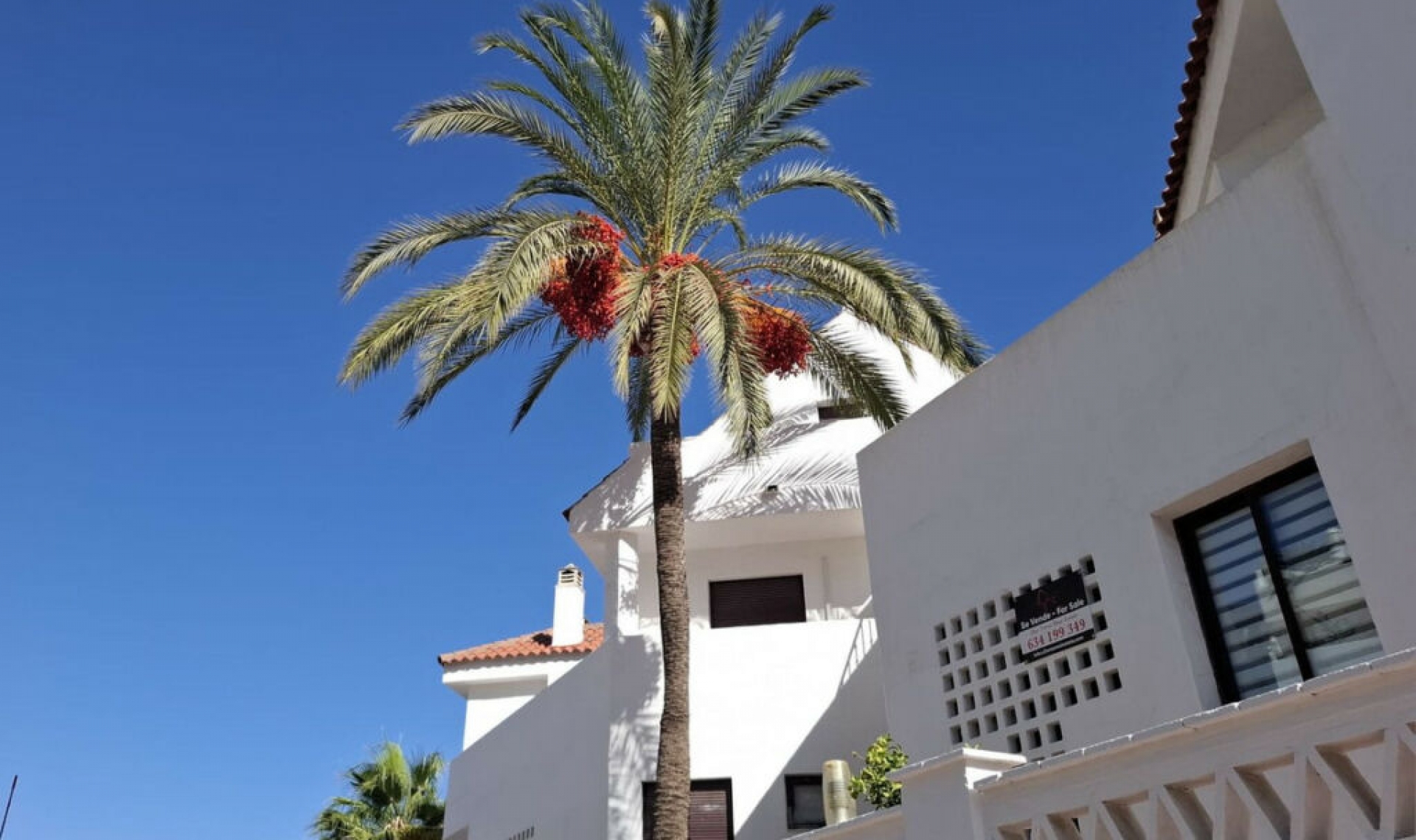 Resale - Apartment -
Nueva Andalucía