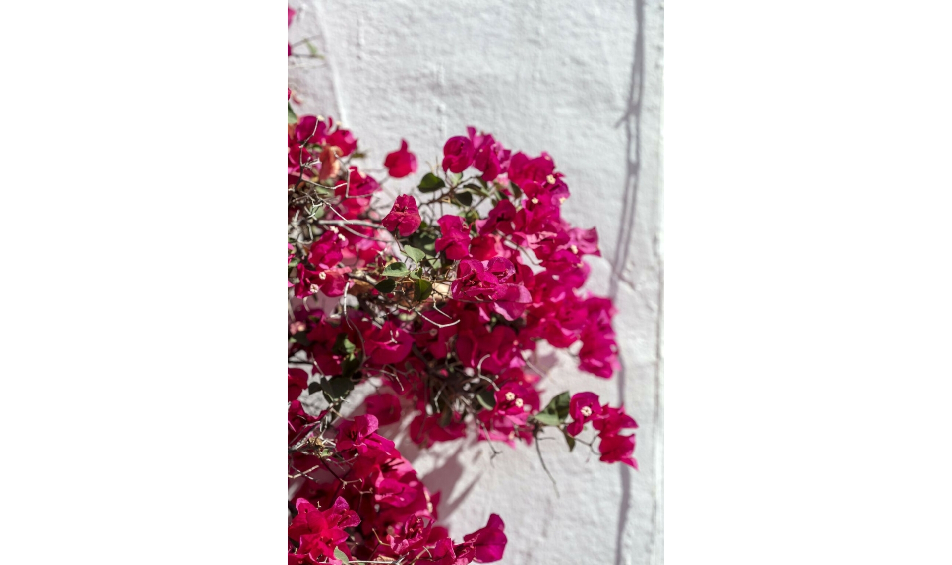 Resale - Apartment -
Nueva Andalucía