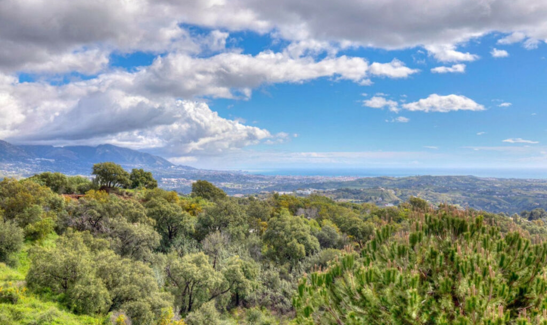 Resale - Apartment -
Ojén