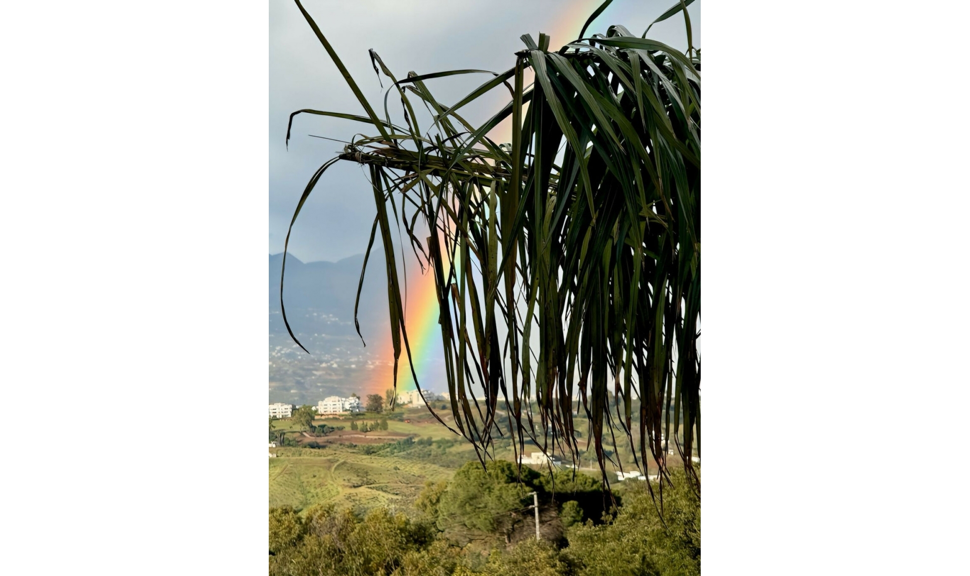 Resale - Apartment -
Ojén