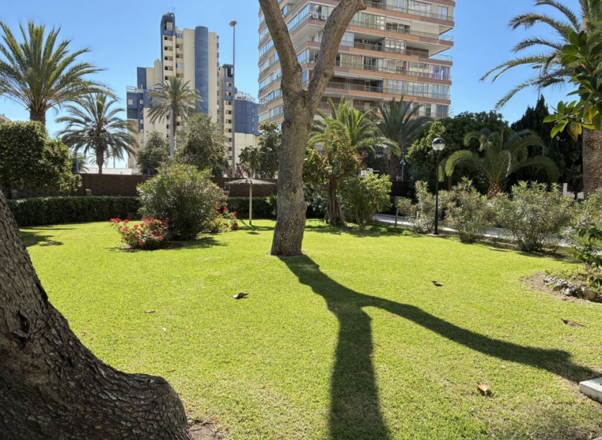 Resale - Apartment -
Playa de San Juan