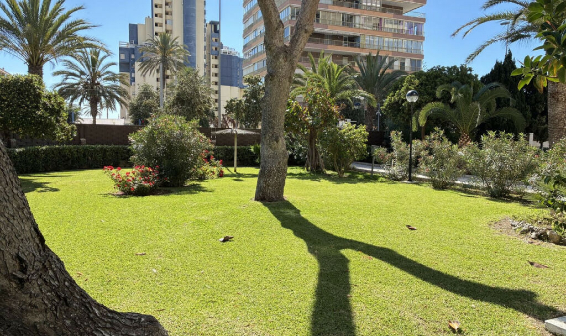 Resale - Apartment -
Playa de San Juan