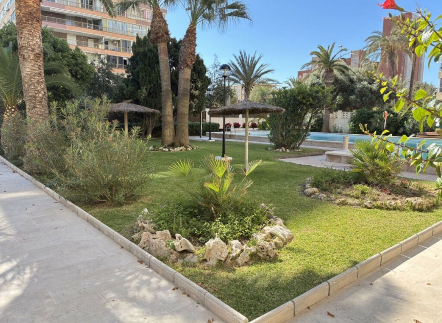 Resale - Apartment -
Playa de San Juan