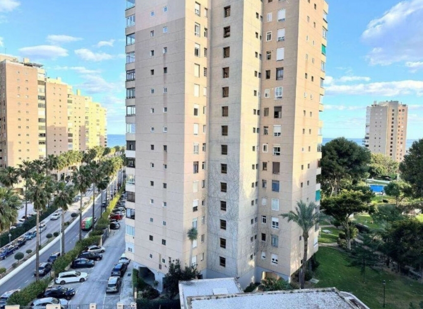 Resale - Apartment -
Playamar