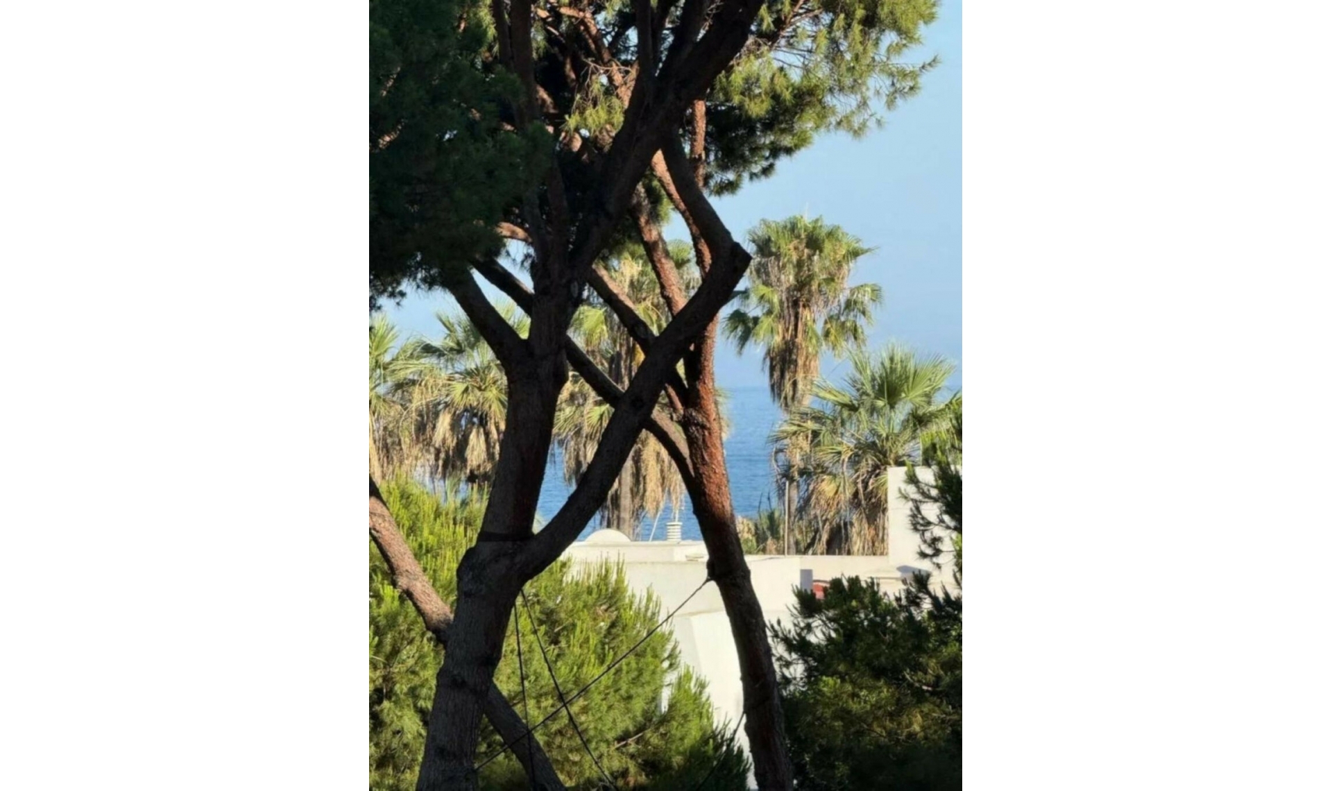 Resale - Apartment -
Puerto Banús