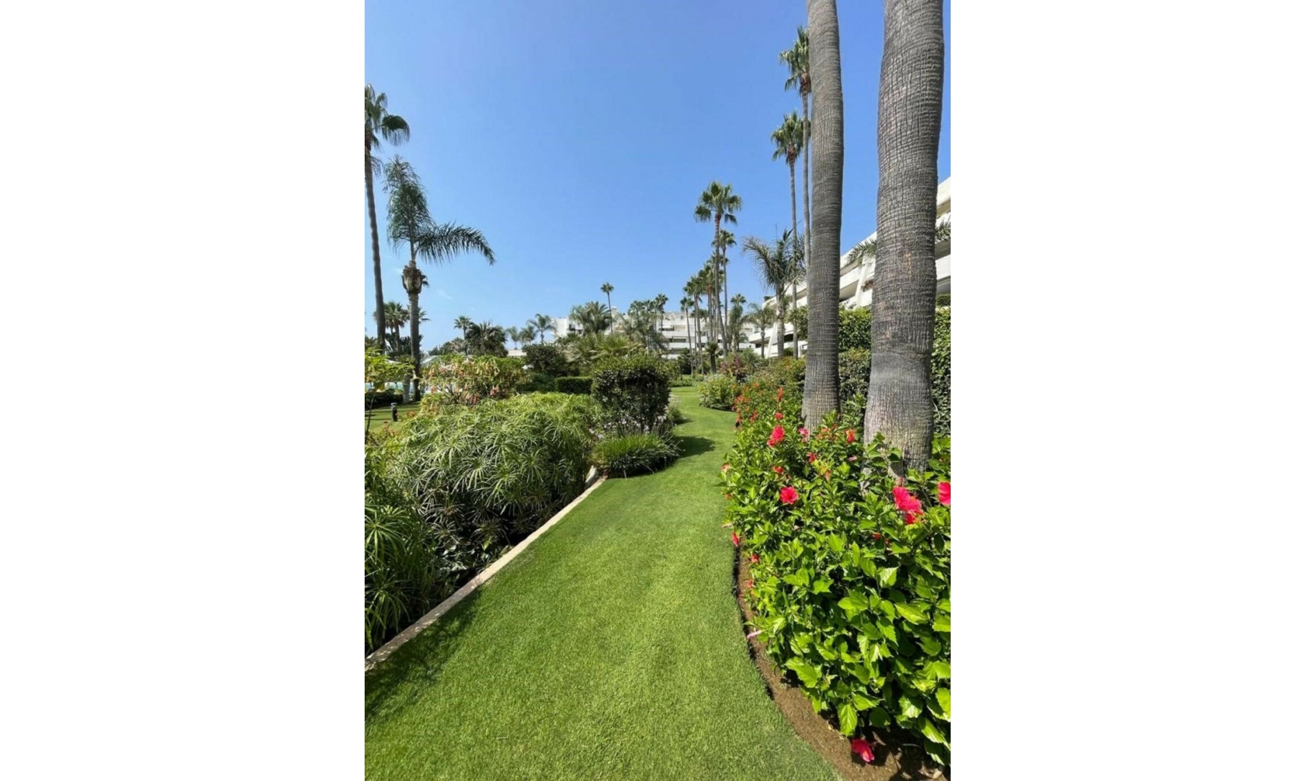 Resale - Apartment -
Puerto Banús