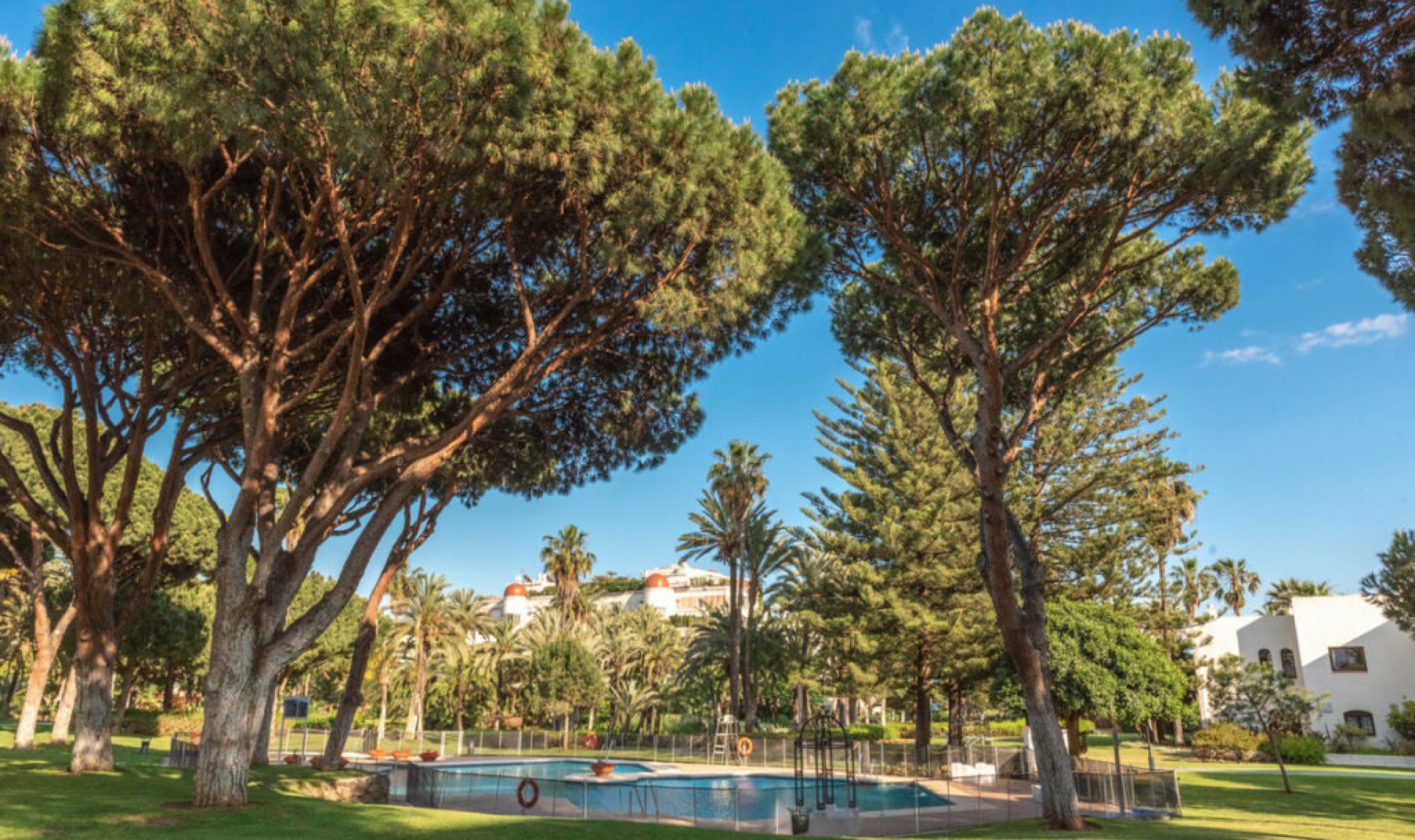 Resale - Apartment -
Puerto Banús