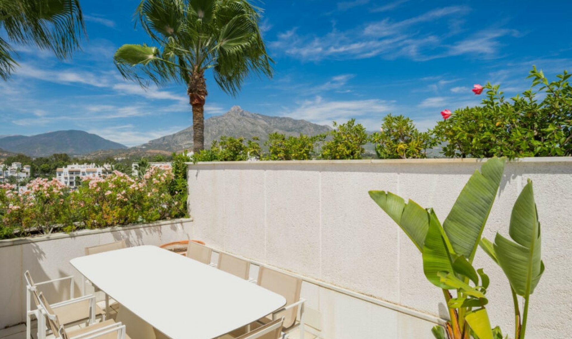 Resale - Apartment -
Puerto Banús