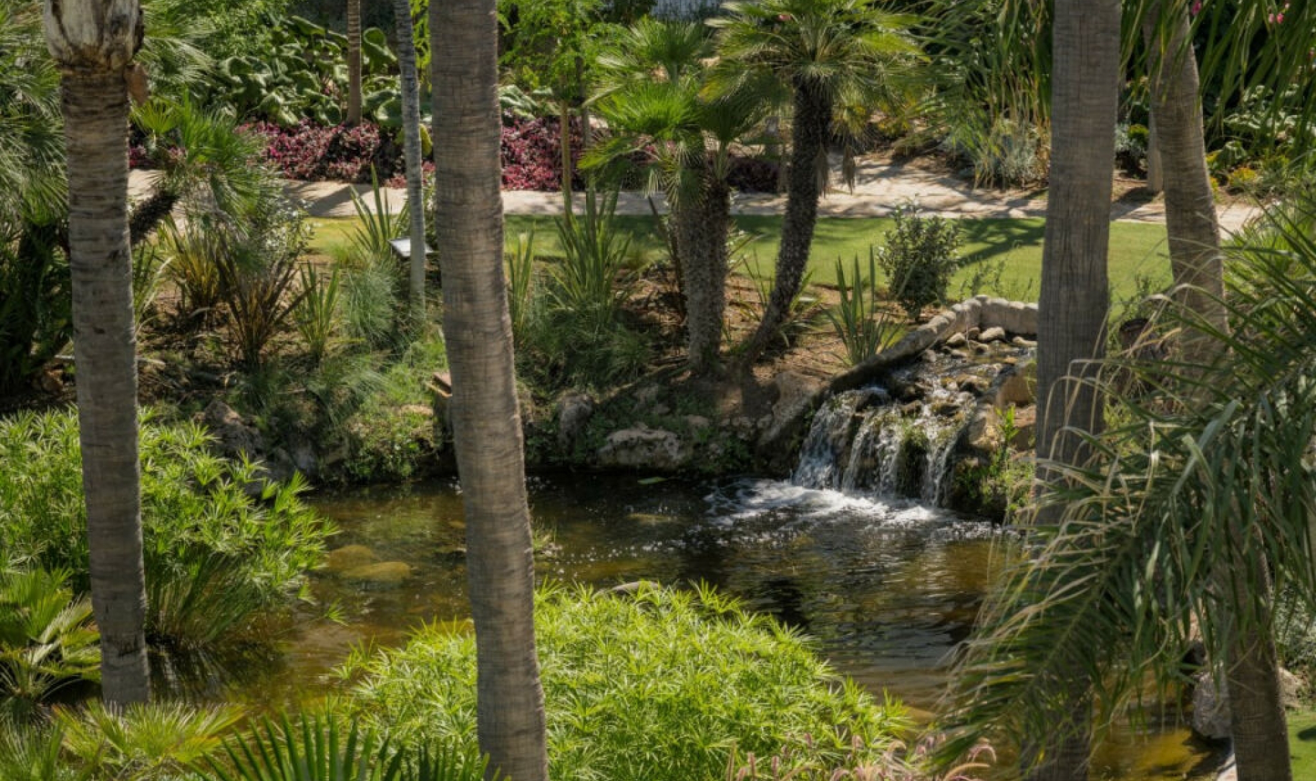 Resale - Apartment -
Puerto Banús