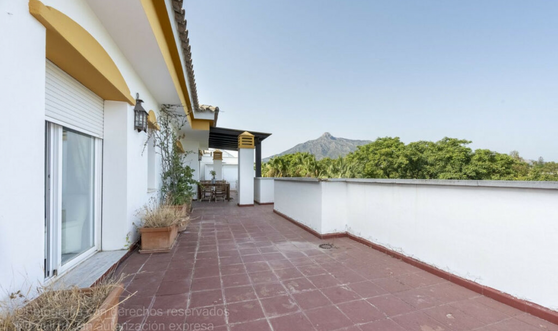 Resale - Apartment -
Puerto Banús