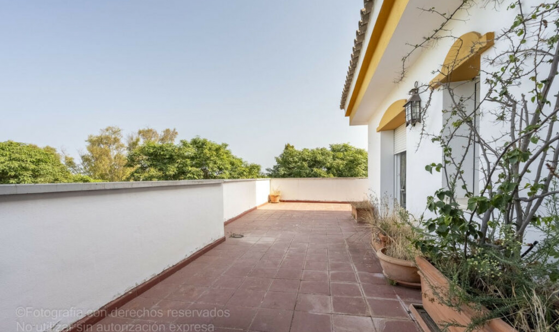 Resale - Apartment -
Puerto Banús