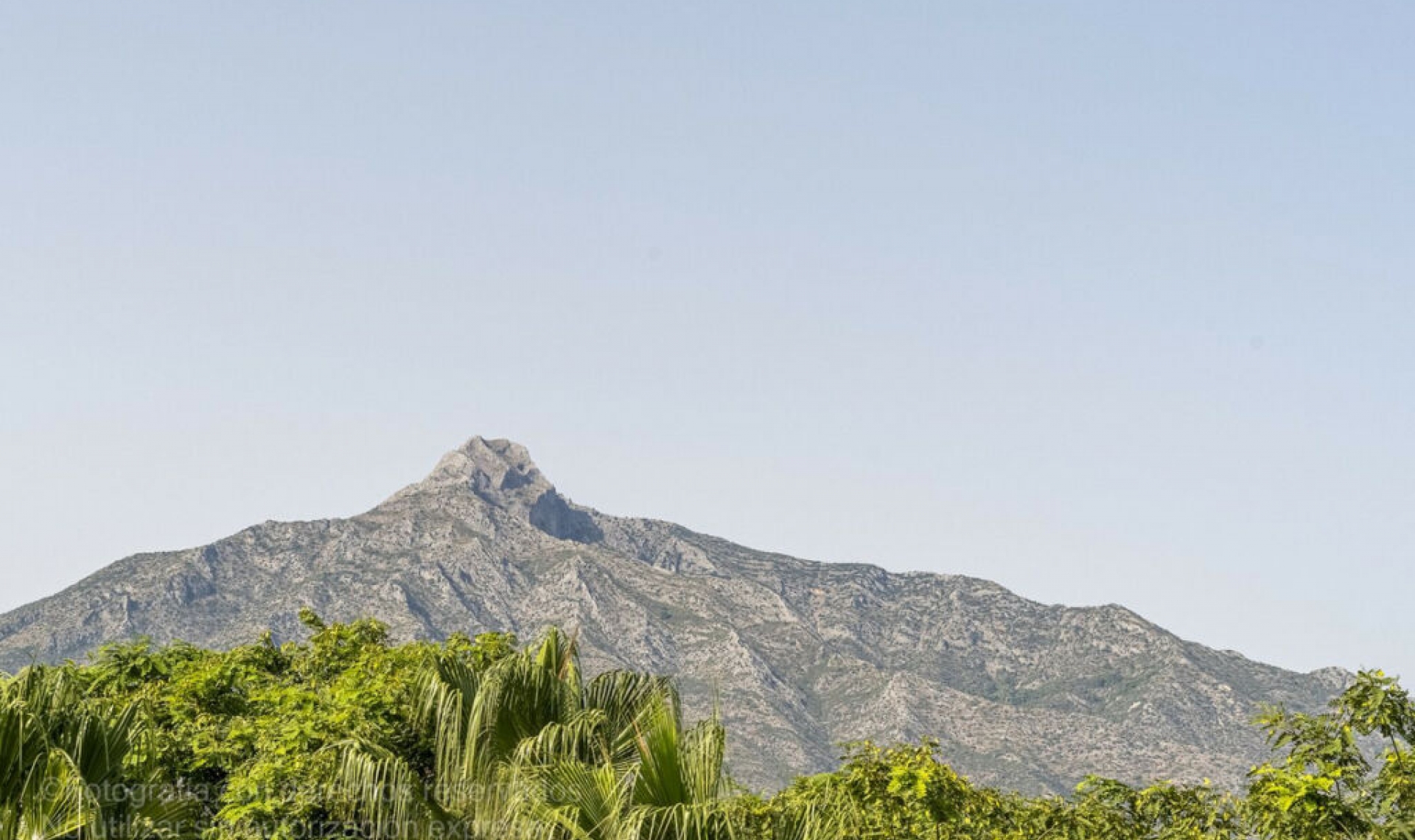 Resale - Apartment -
Puerto Banús